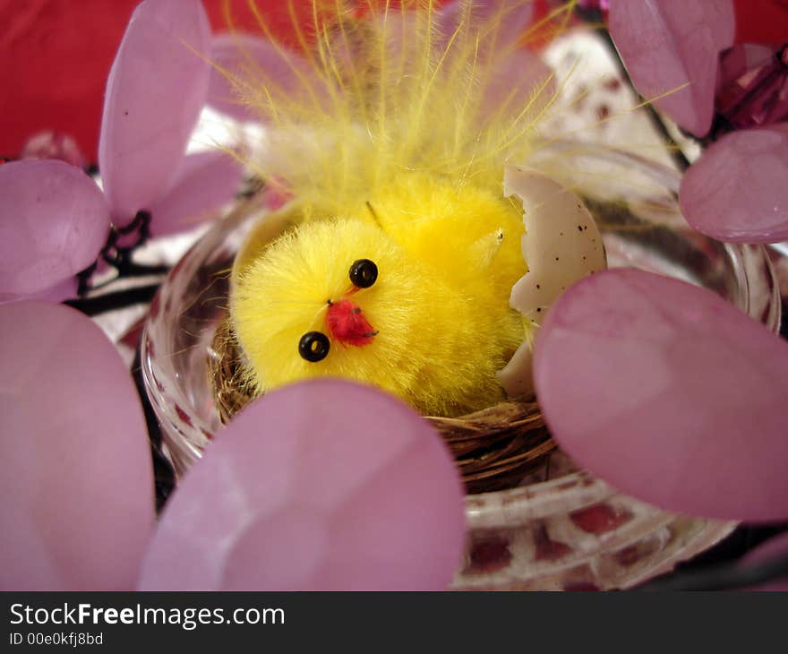 Yellow chicken on basket