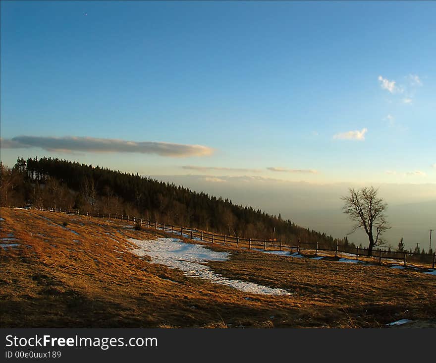 Acre, forest, beautiful sky and a bit of snow. Acre, forest, beautiful sky and a bit of snow