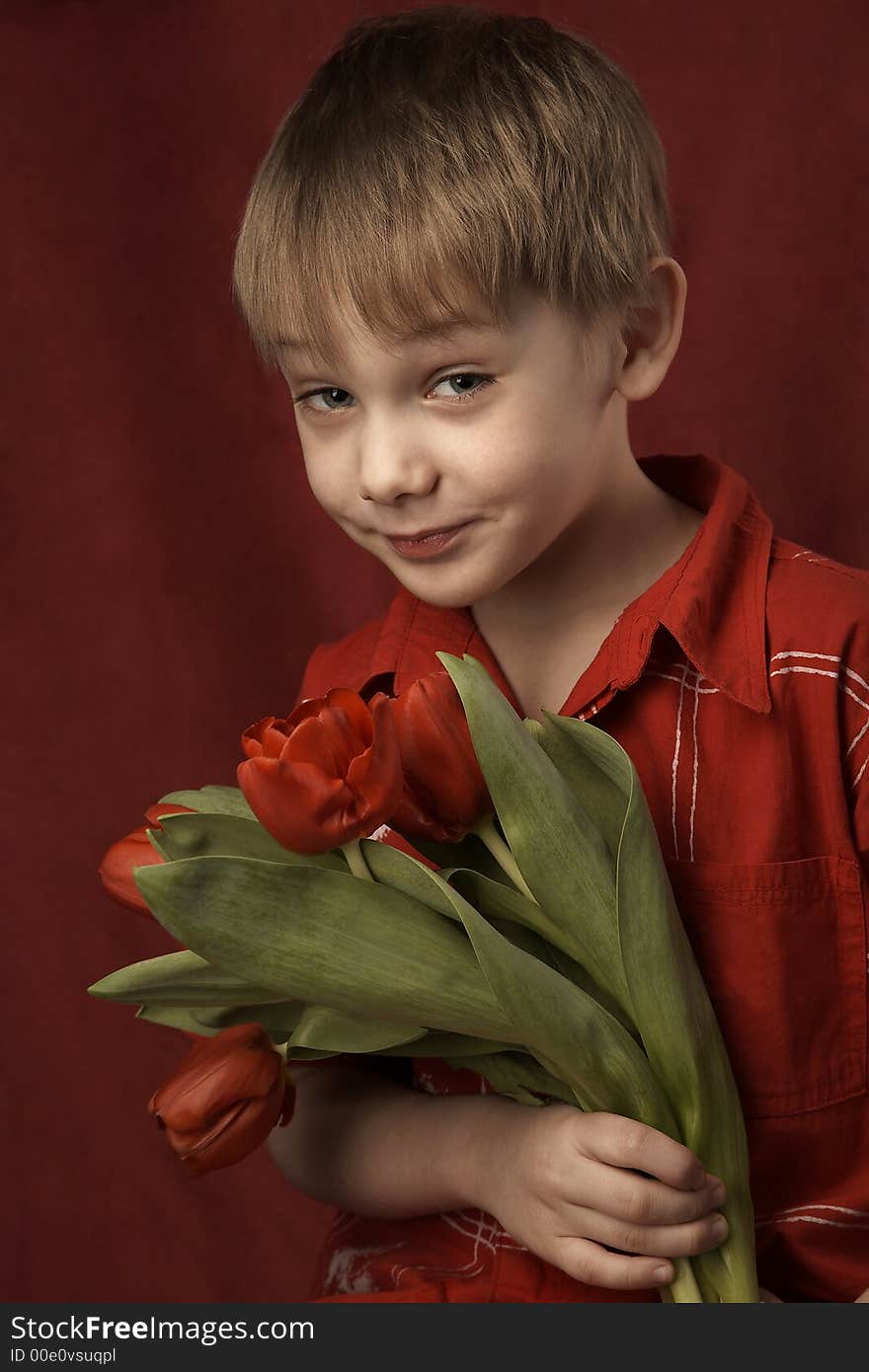 smiling small boy in red shirt with red tulips. smiling small boy in red shirt with red tulips