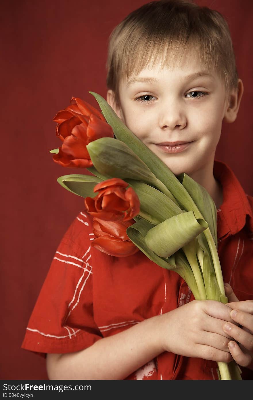 boy in red shirt with red tulips. boy in red shirt with red tulips