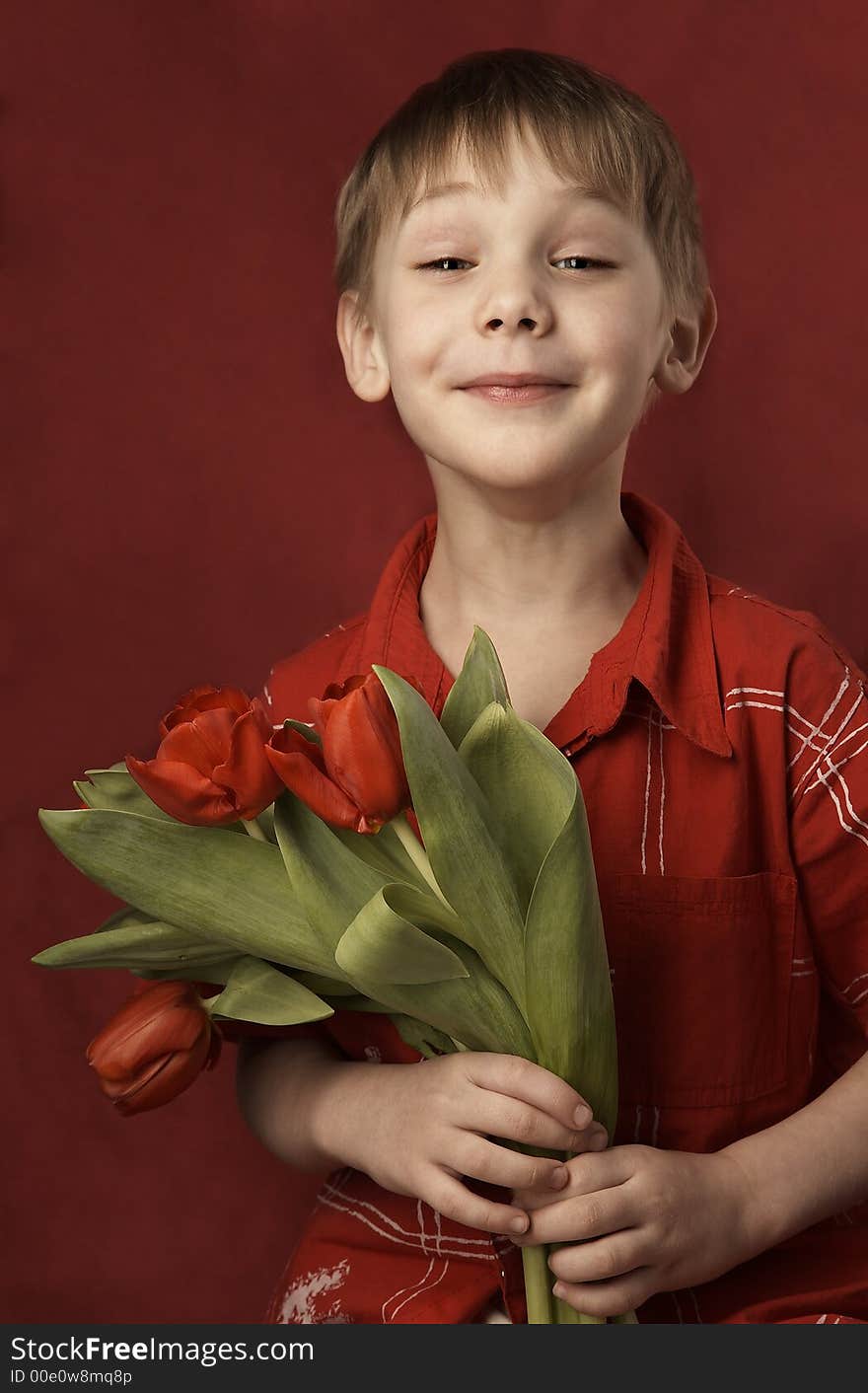 smiling boy with red tulips. smiling boy with red tulips