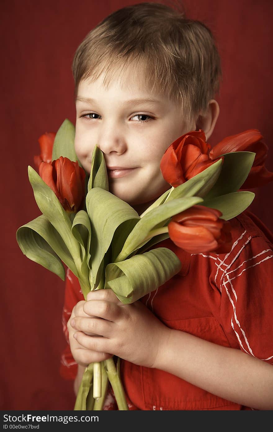 smiling boy with red tulips. smiling boy with red tulips