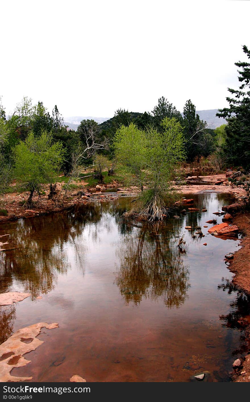 Spring in arizona