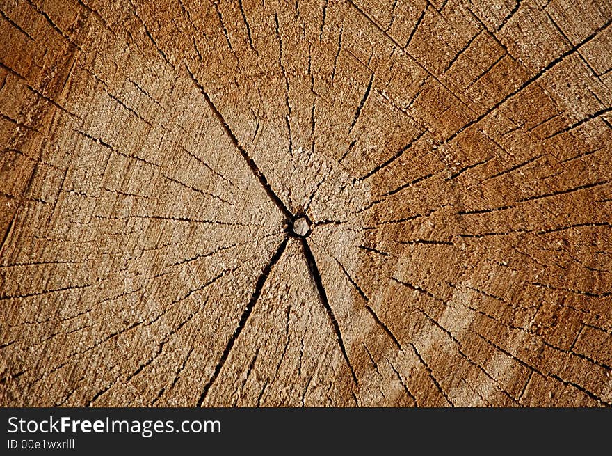 Nice wood pattern rough surface natural texture