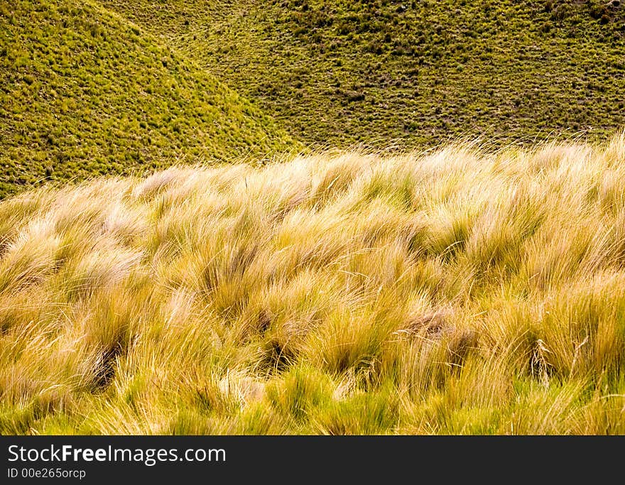 Rural scenic of a pretty hay field. Rural scenic of a pretty hay field