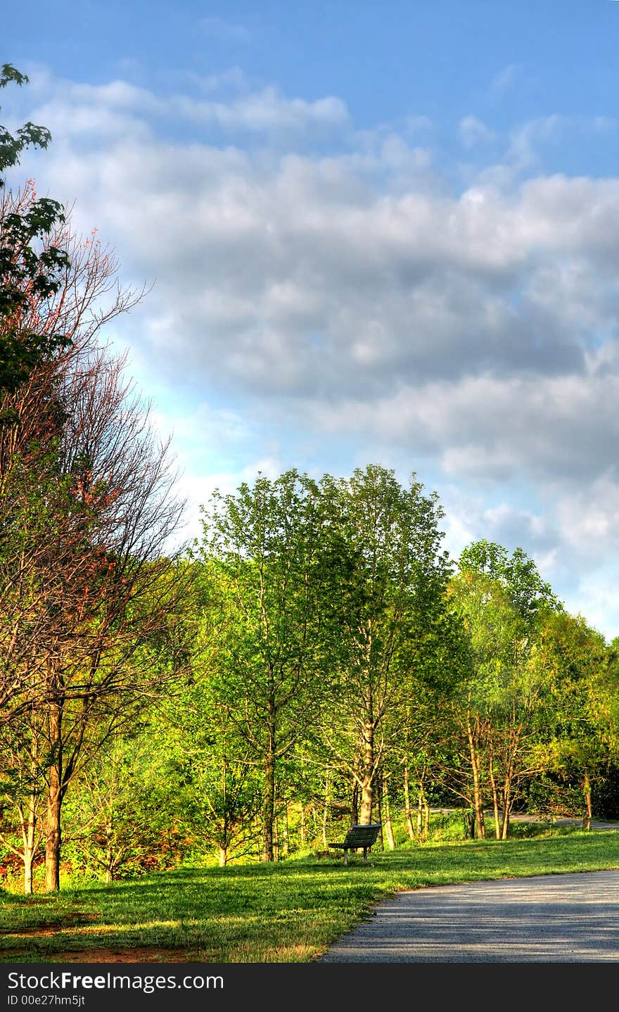 Beautiful Landscape in a Park