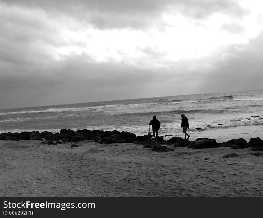 Shell hunters searching along Caspersen Beach in Venice, FL