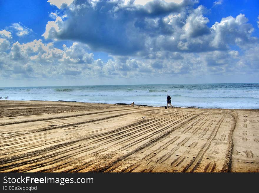 A View of the Beach