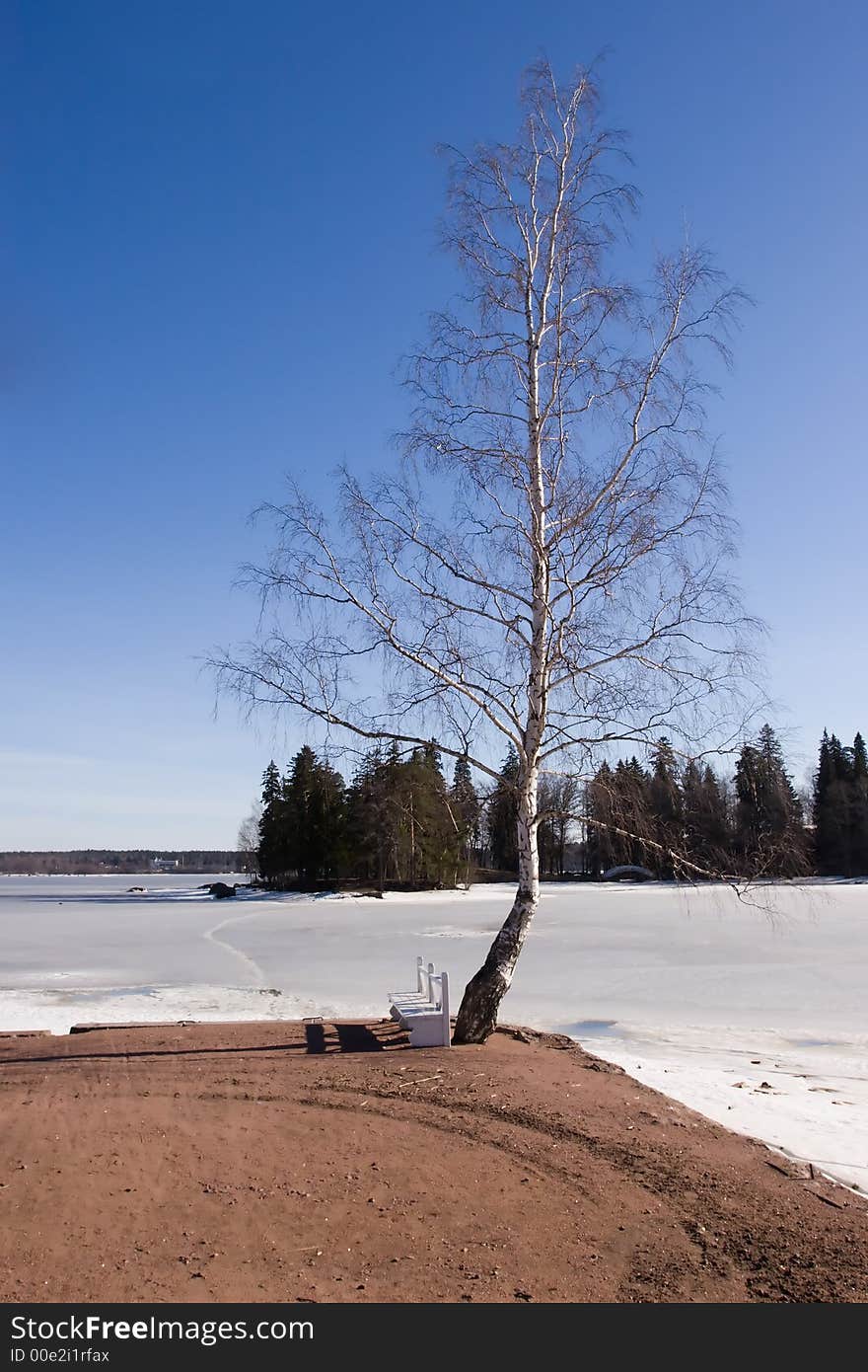 Spring in landscape park