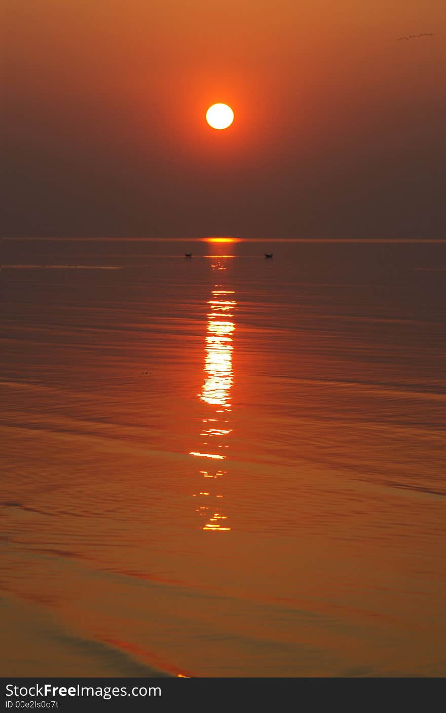 The spring sunset on a Baltic sea. The spring sunset on a Baltic sea