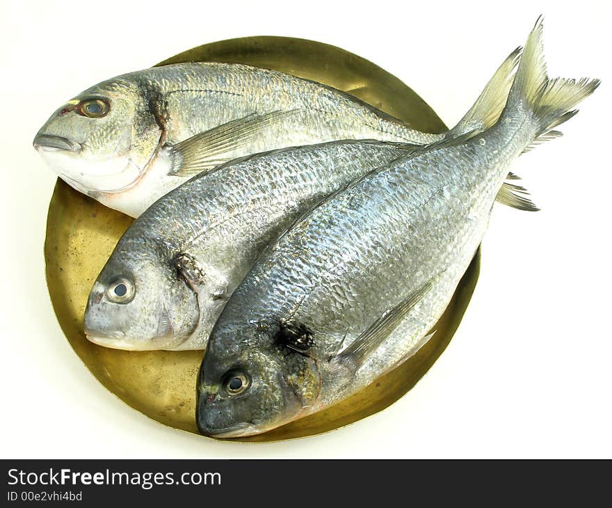 Three Gilded Head Sea Bream