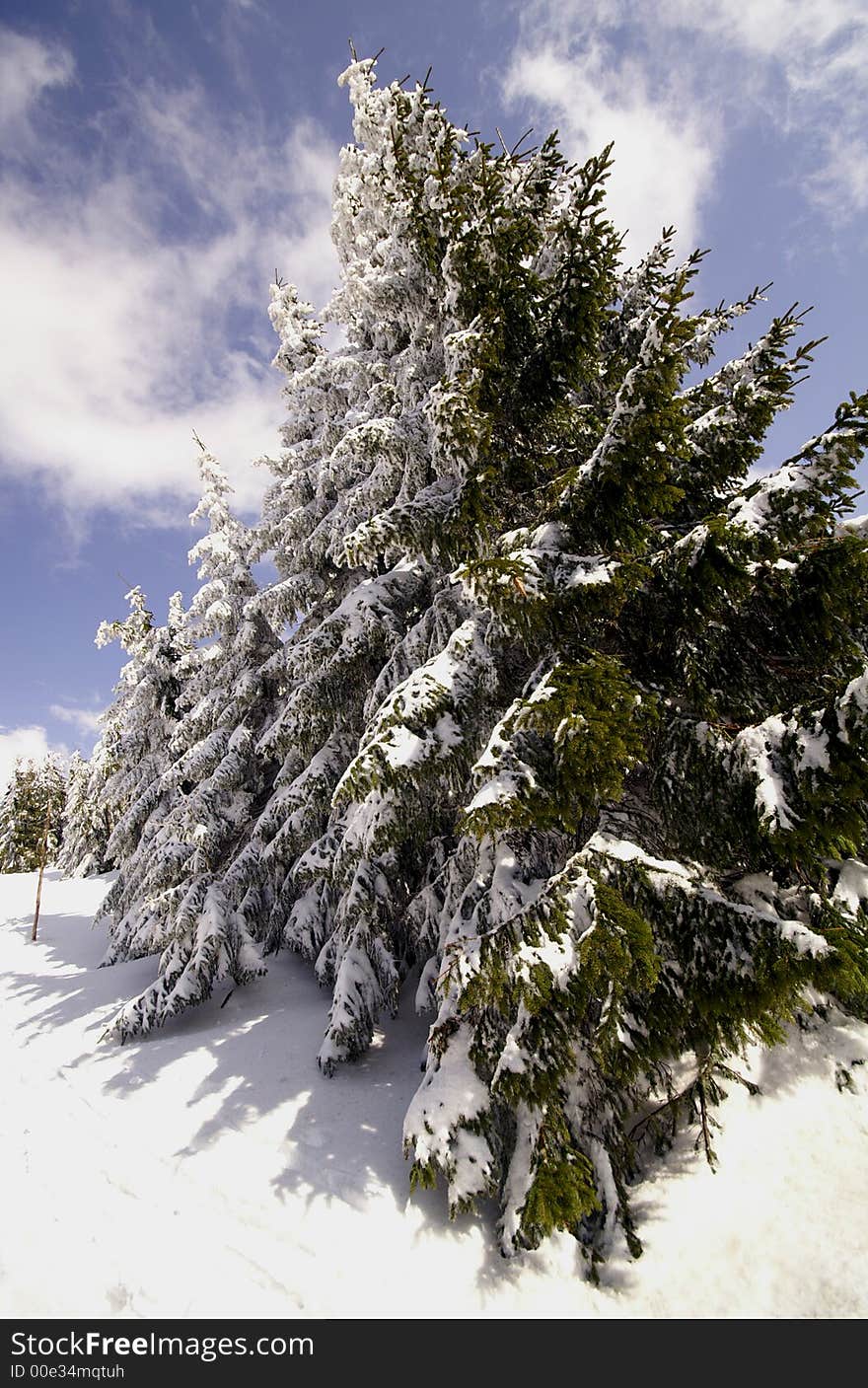 Way to Snezka mountain