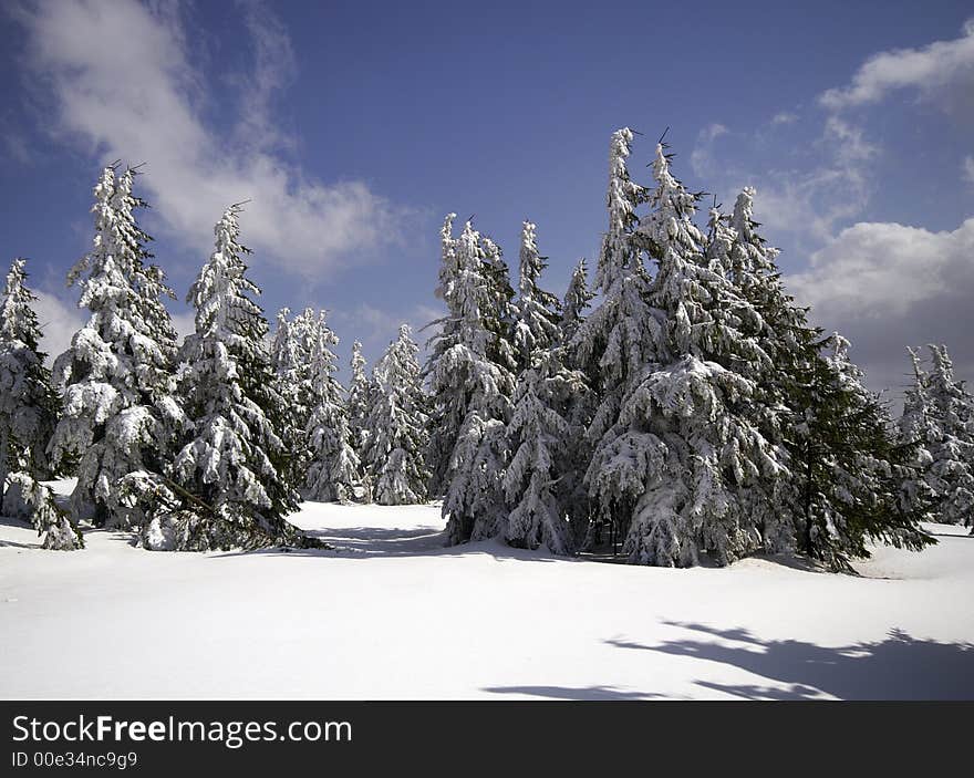 Way to Snezka mountain