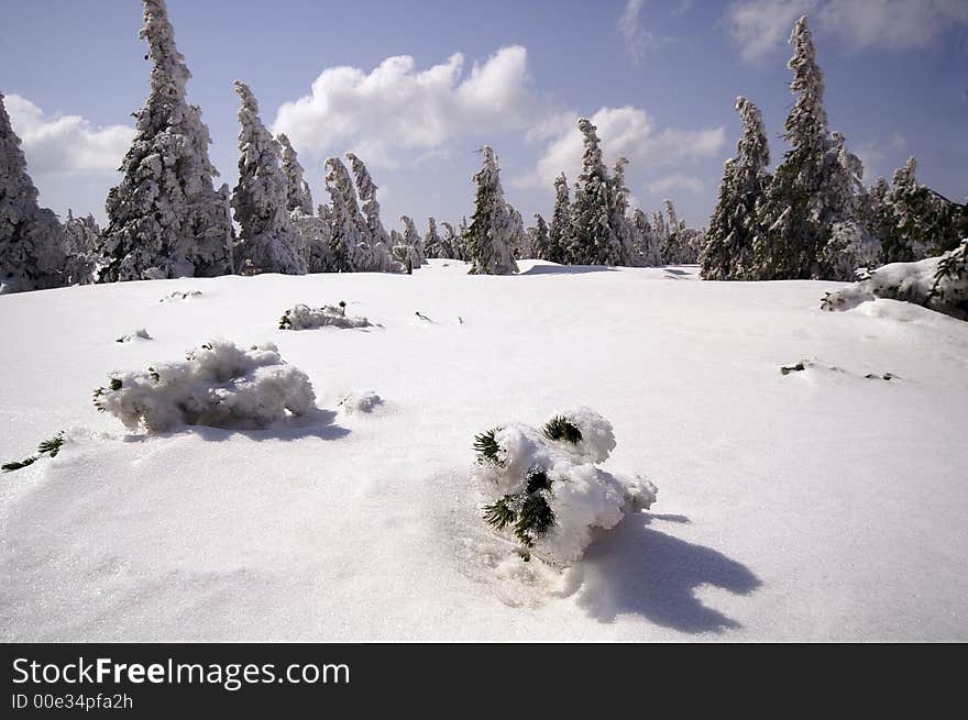 Way to Snezka mountain