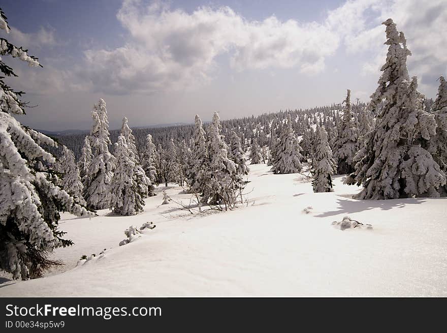 Way to Snezka mountain