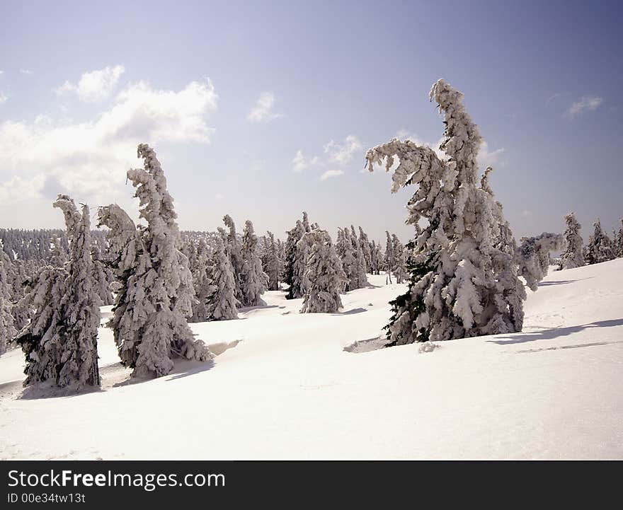 Way to Snezka mountain