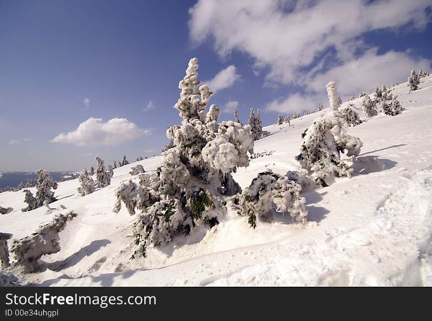 Way to Snezka mountain