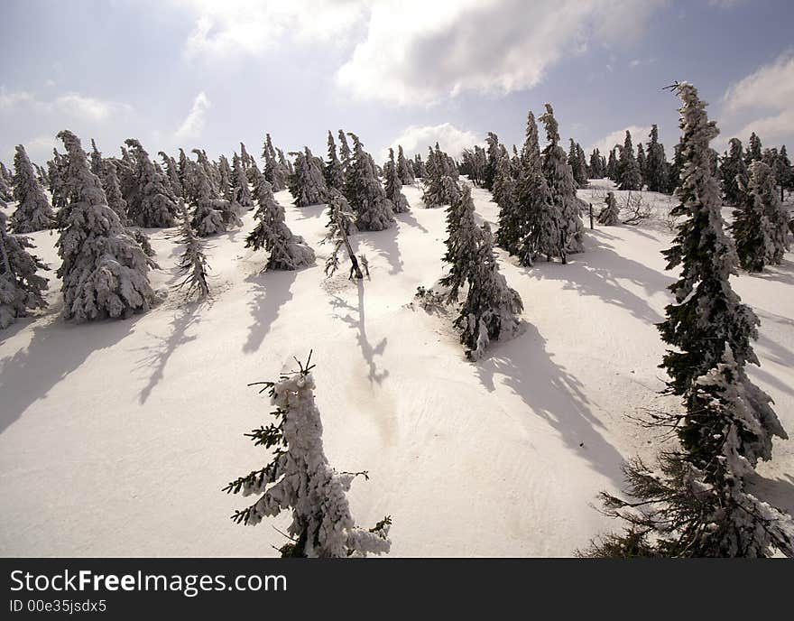 Way to Snezka mountain