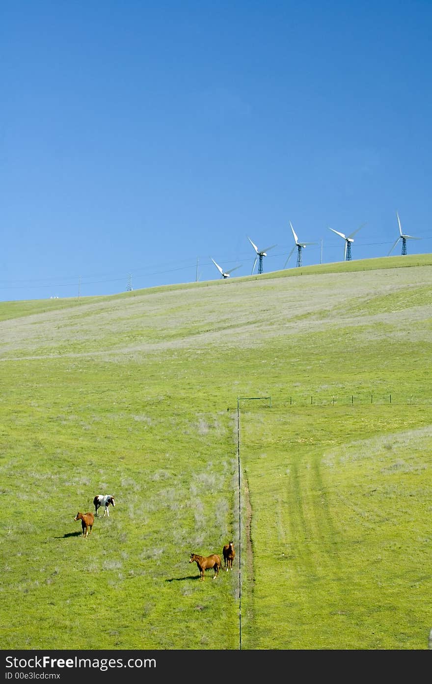 Alternate energy wind generators on a hill in california with horses below. Alternate energy wind generators on a hill in california with horses below