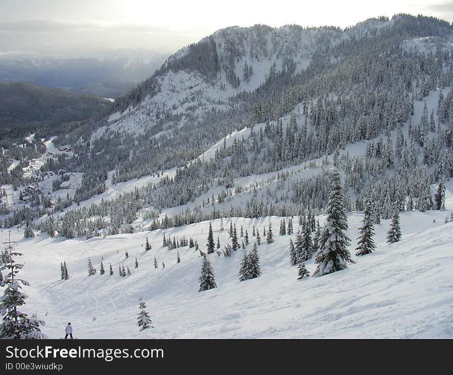 The side of a skii / snowboard hill after a heavy snowfall. The side of a skii / snowboard hill after a heavy snowfall