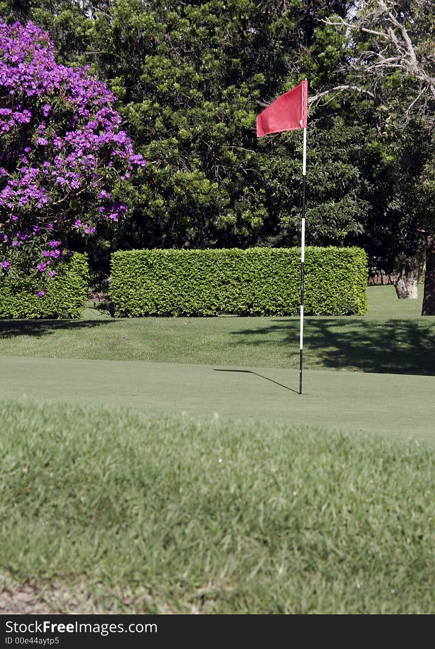 Golf Putting Green With Flag And Grass In The Foreground. Golf Putting Green With Flag And Grass In The Foreground