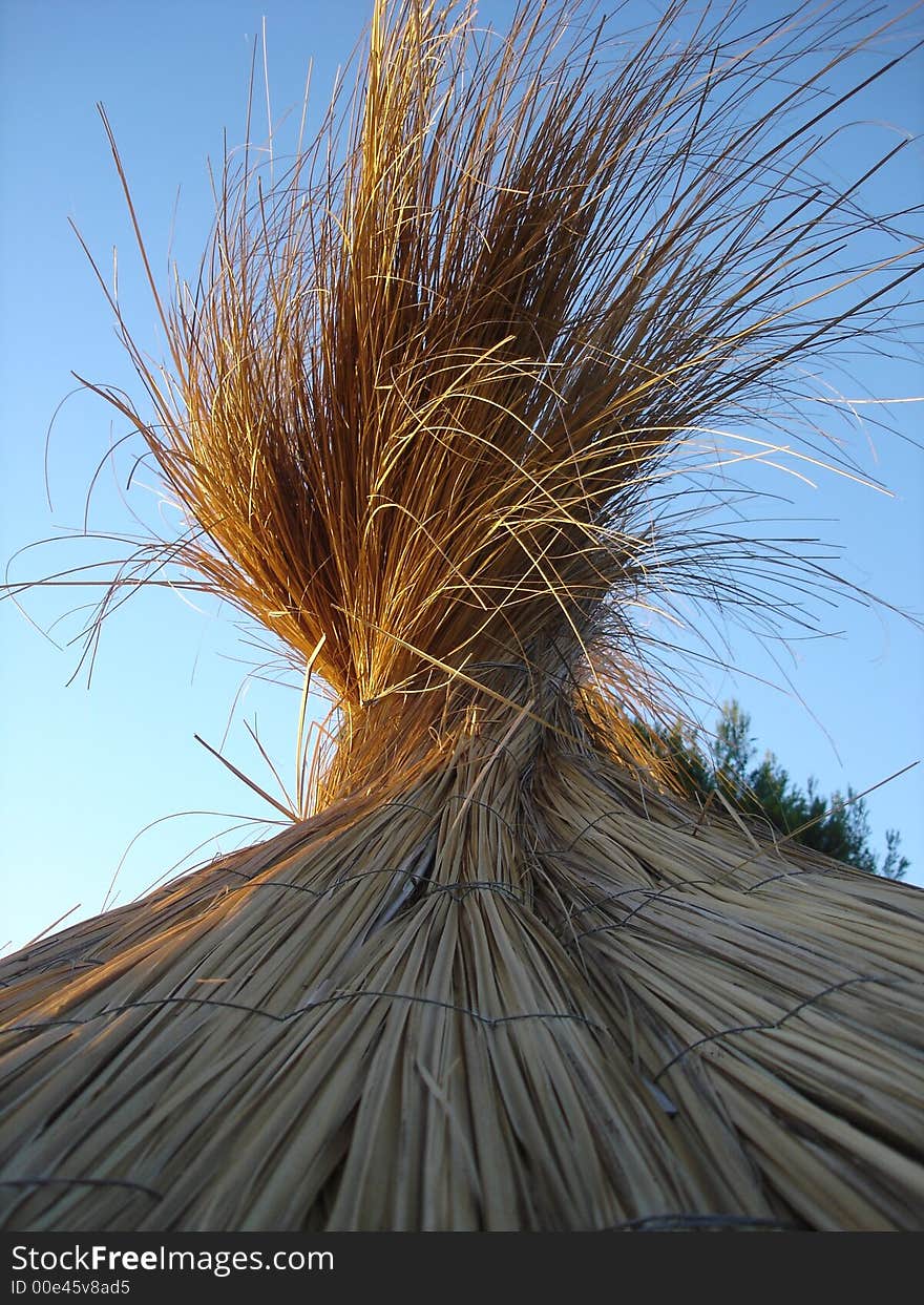 A pice of a straw structure