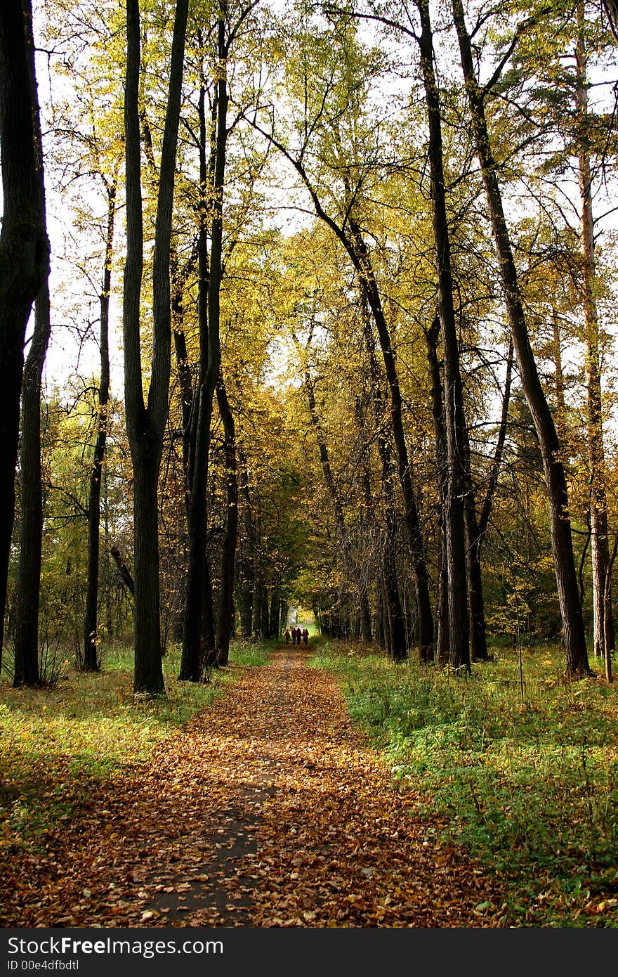 Autumn in our city. Walk in park. Autumn in our city. Walk in park.