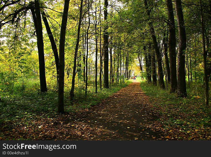 Autumn In Our Park.