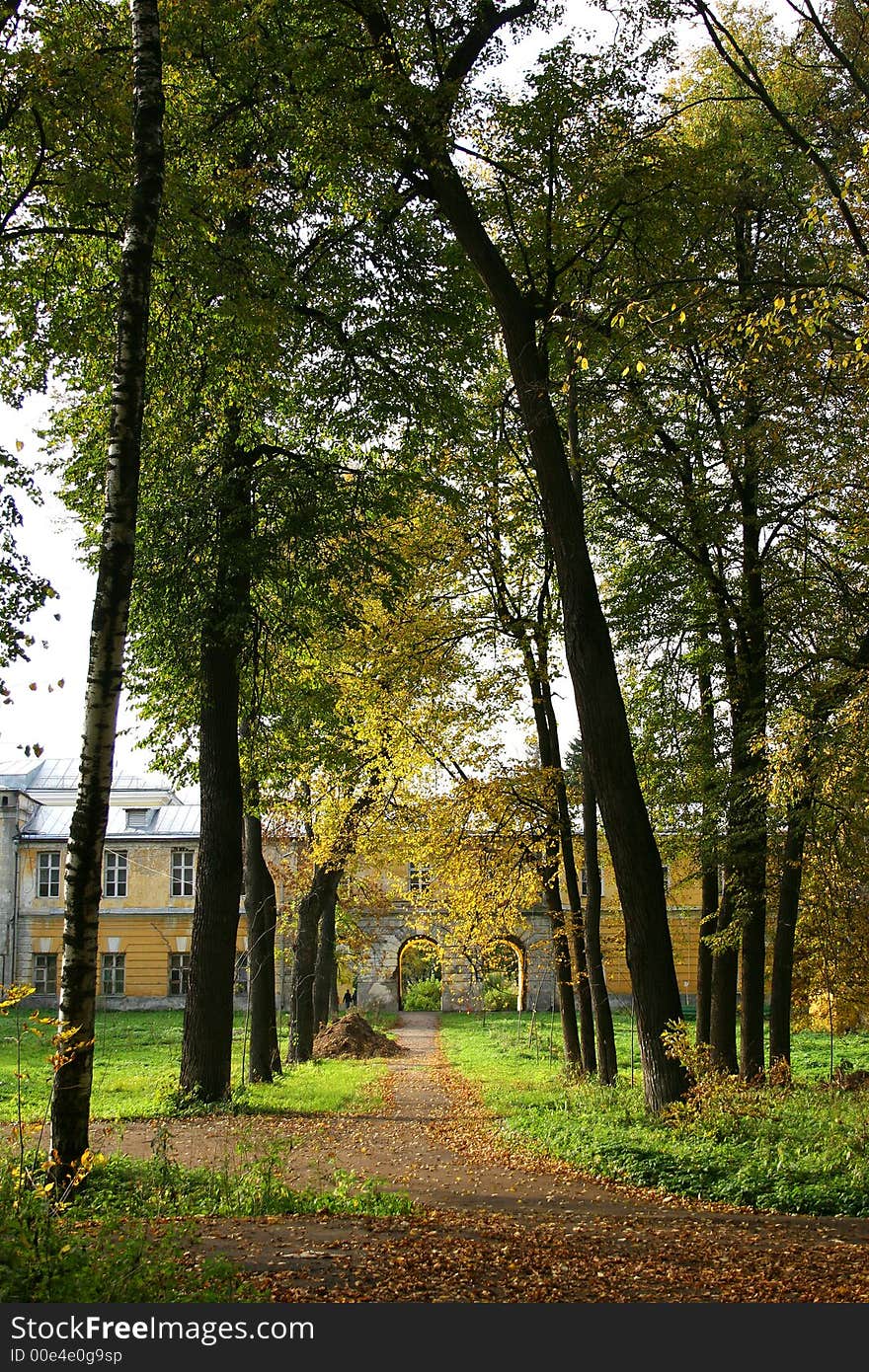 Autumn in our park.