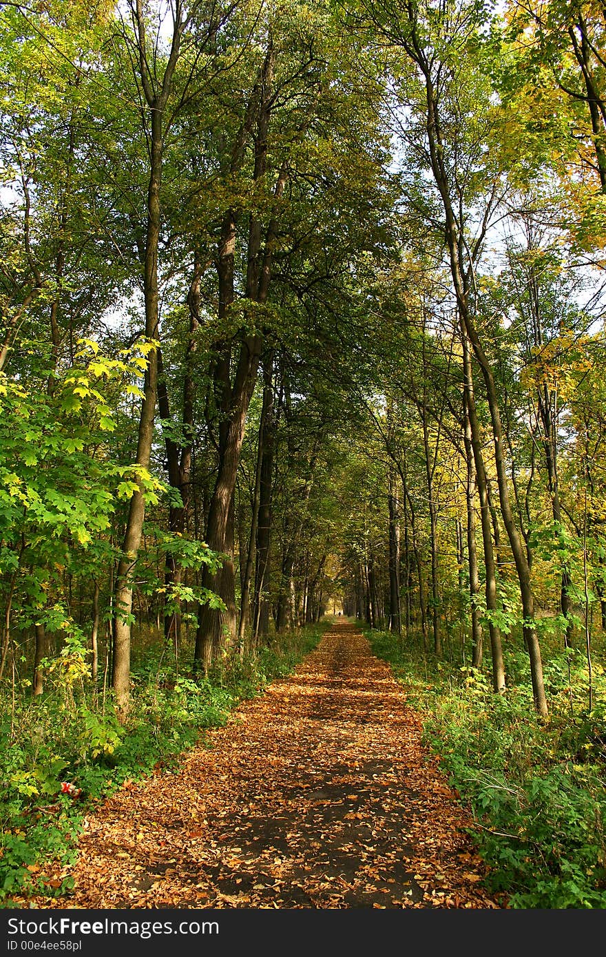 Autumn in our city. Walk in park. Autumn in our city. Walk in park.