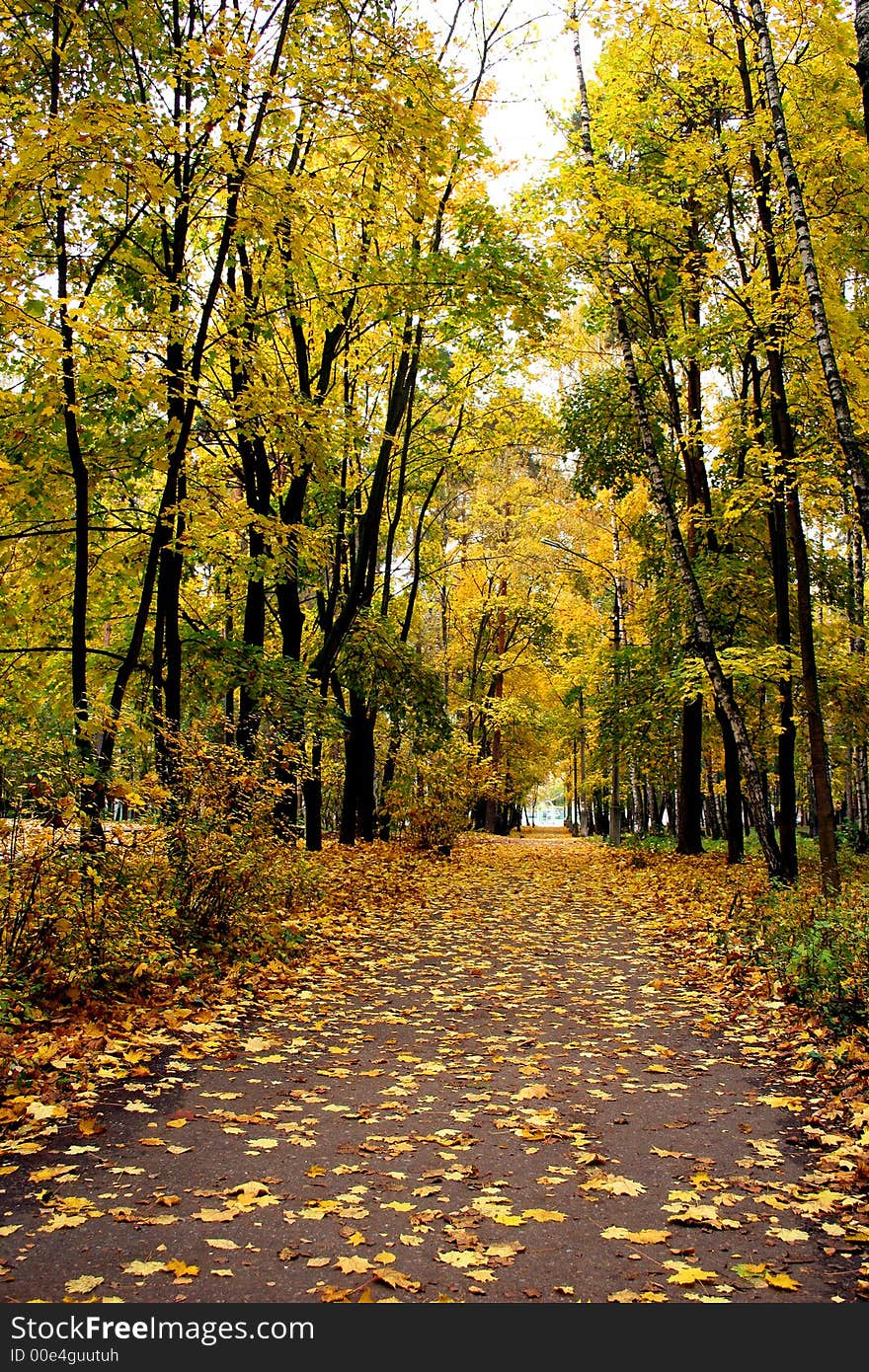 Autumn in our city. Walk in park. Autumn in our city. Walk in park.