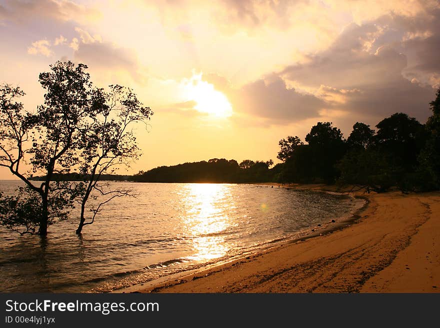 Beach Sunset