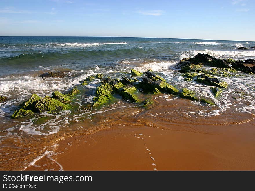 Schist rocks at the beach overgrown by green alga. Schist rocks at the beach overgrown by green alga