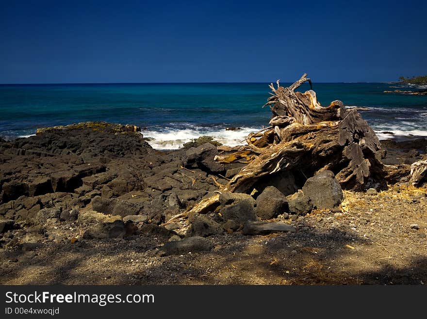 Kona Coastline