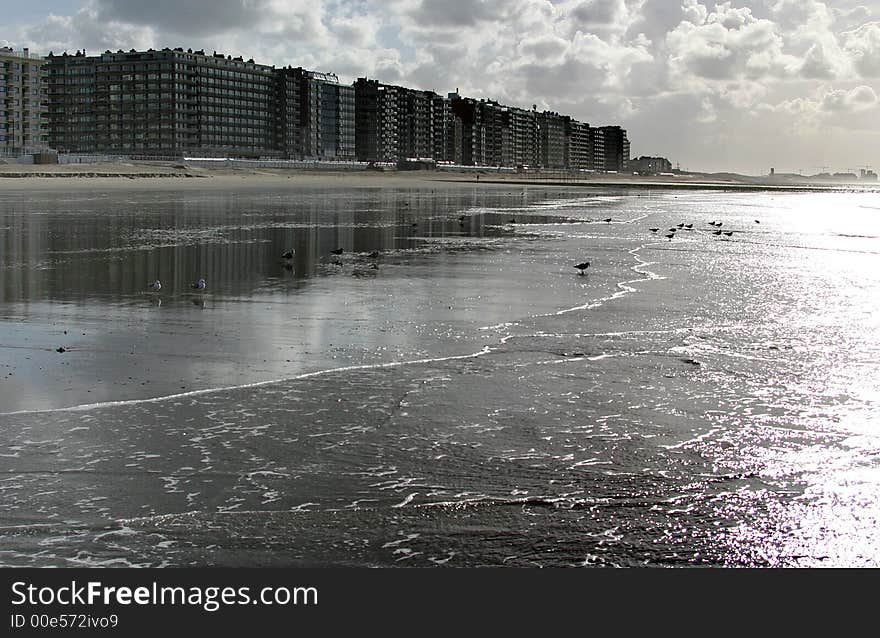 Skyscrapers along the coast in Westende-Bad (Belgium) are waiting for the tourists and summer-season. In the meantime sea-gulls are enjoying the silence in the mirroring water of the sea during ebb-tide.