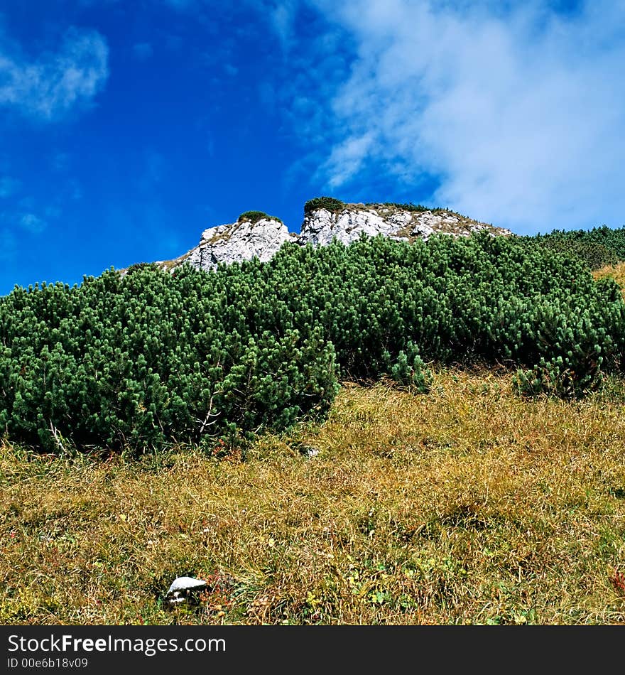 Tatry