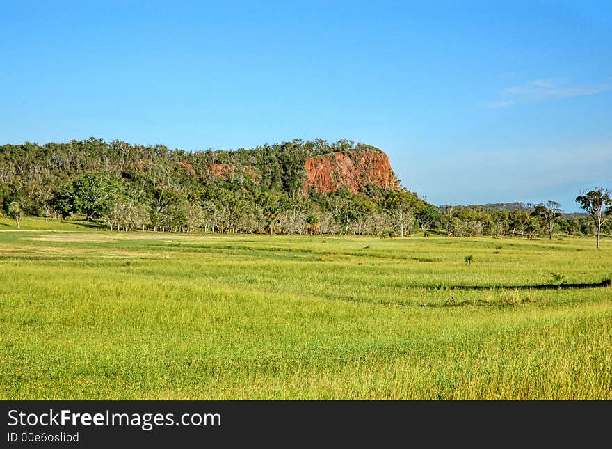 Your typical Australian landscape wiith vast areas of green pastures,gum trees and brilliant blue skies