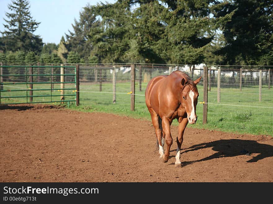 Bud is out there enjoying a nice warm day in the sun. Bud is out there enjoying a nice warm day in the sun.