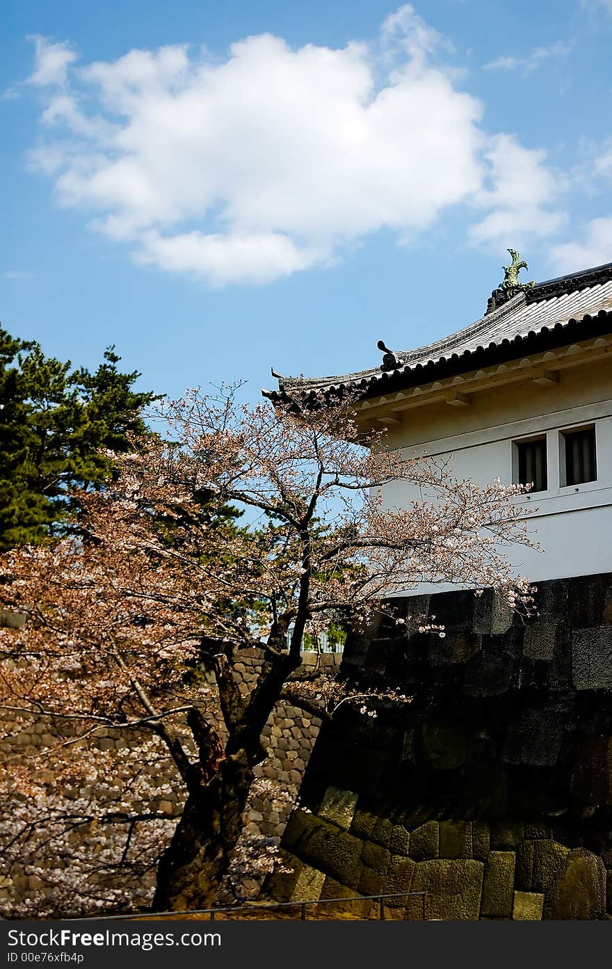 Imperial Palace taken in the Kanda area. With Sakura blooming. Imperial Palace taken in the Kanda area. With Sakura blooming