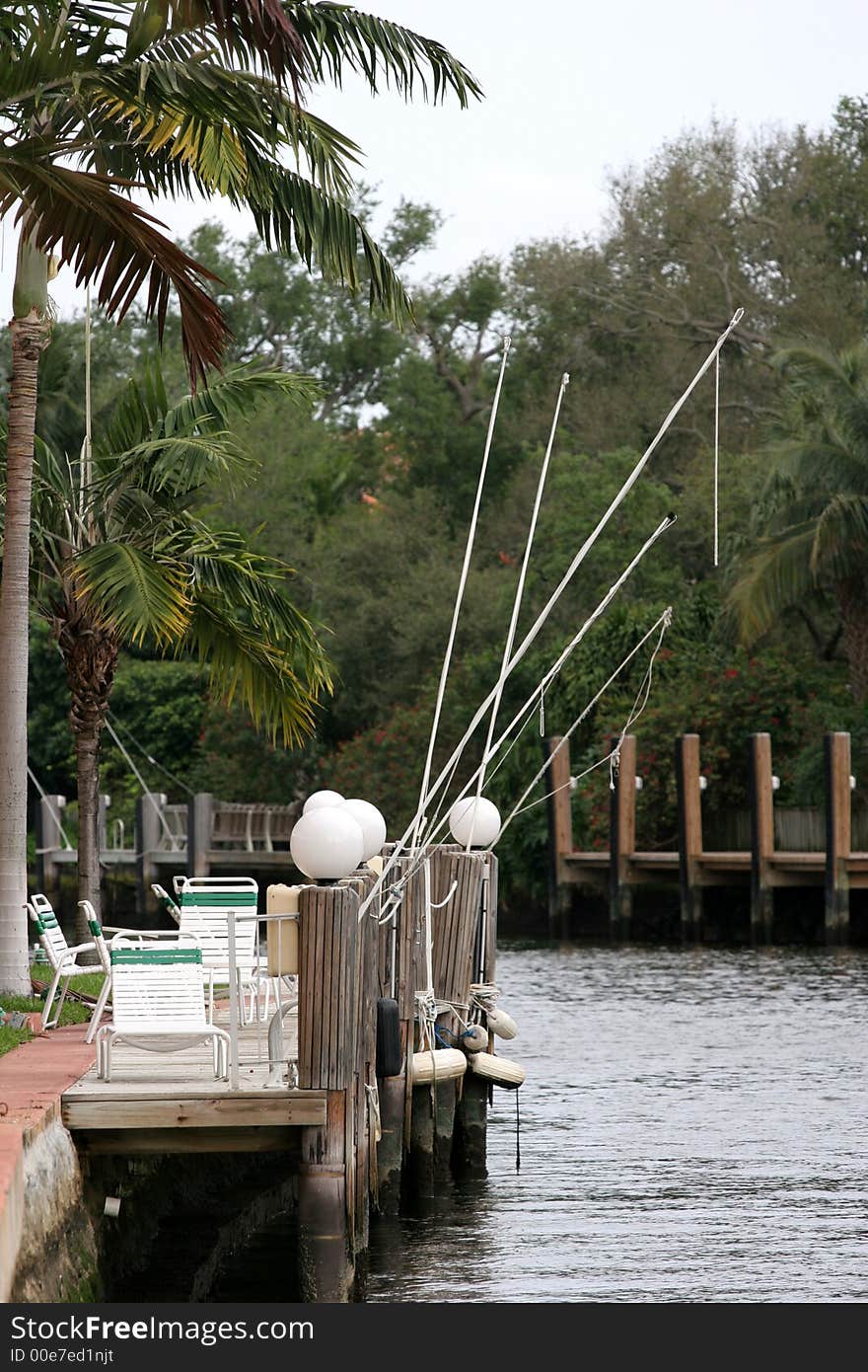 Fishing Poles left unattended on a dock