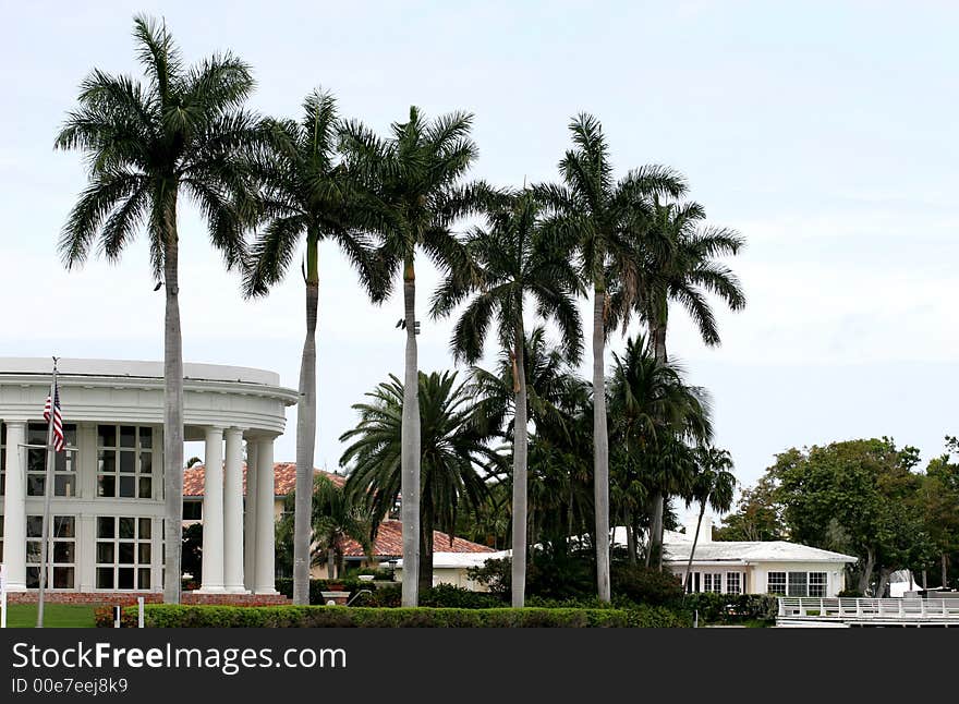 Five Palms And A Mansion