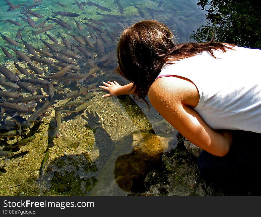 To catch a lot of fish in croatia,plitvicer sea