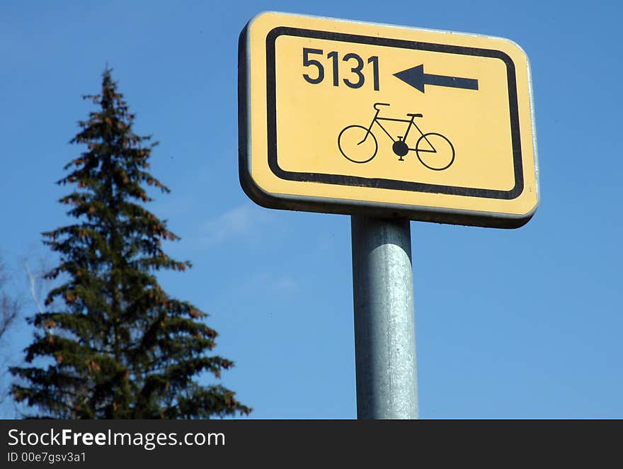 Healthy bike trail in the wood against blue sky