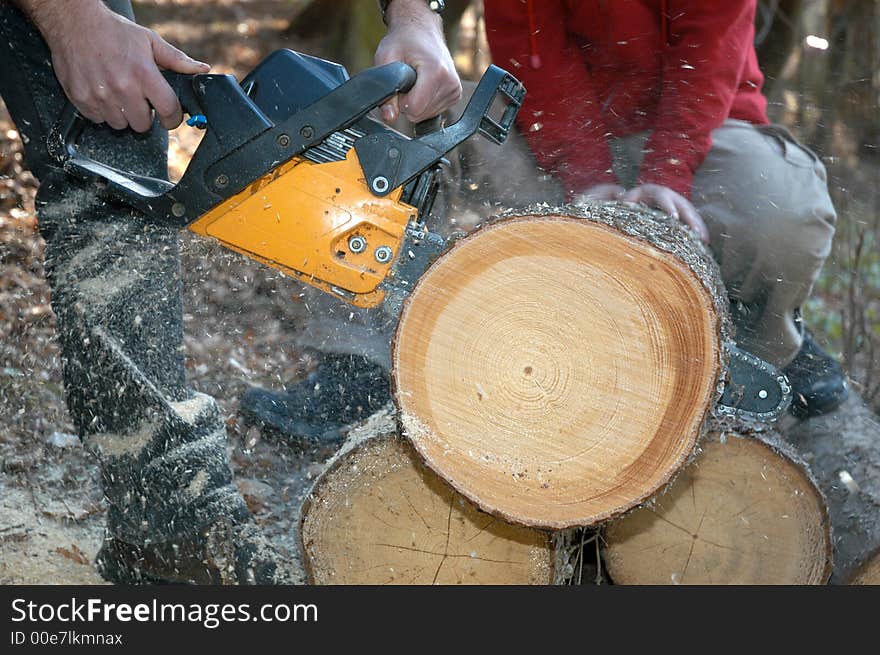 Tree cutting with saw outside. Tree cutting with saw outside