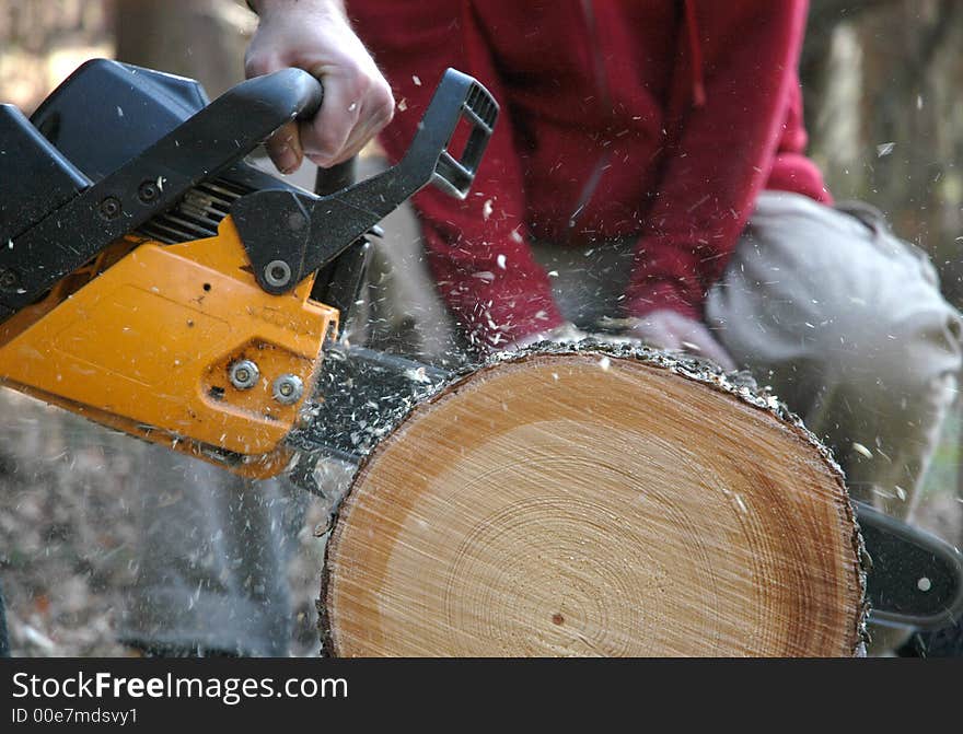 Tree cutting with saw outside. Tree cutting with saw outside