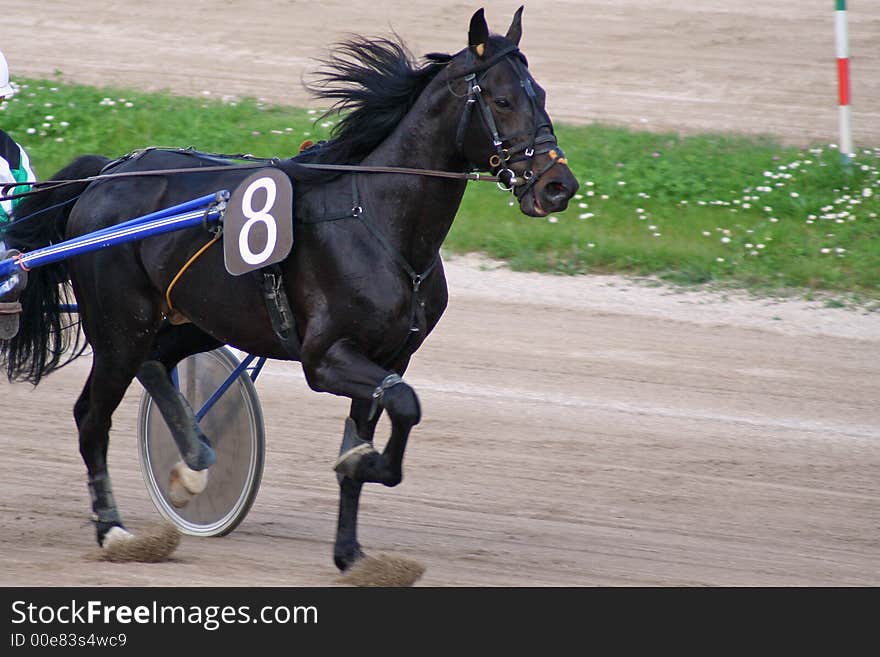 Some beautiful photos of a grand prix in Italy. Some beautiful photos of a grand prix in Italy