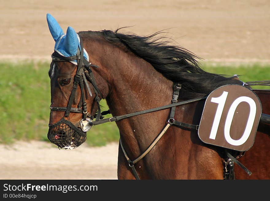 Some beautiful photos of a grand prix in Italy. Some beautiful photos of a grand prix in Italy