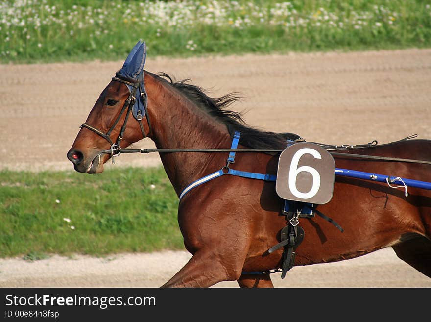 Some beautiful photos of a grand prix in Italy. Some beautiful photos of a grand prix in Italy