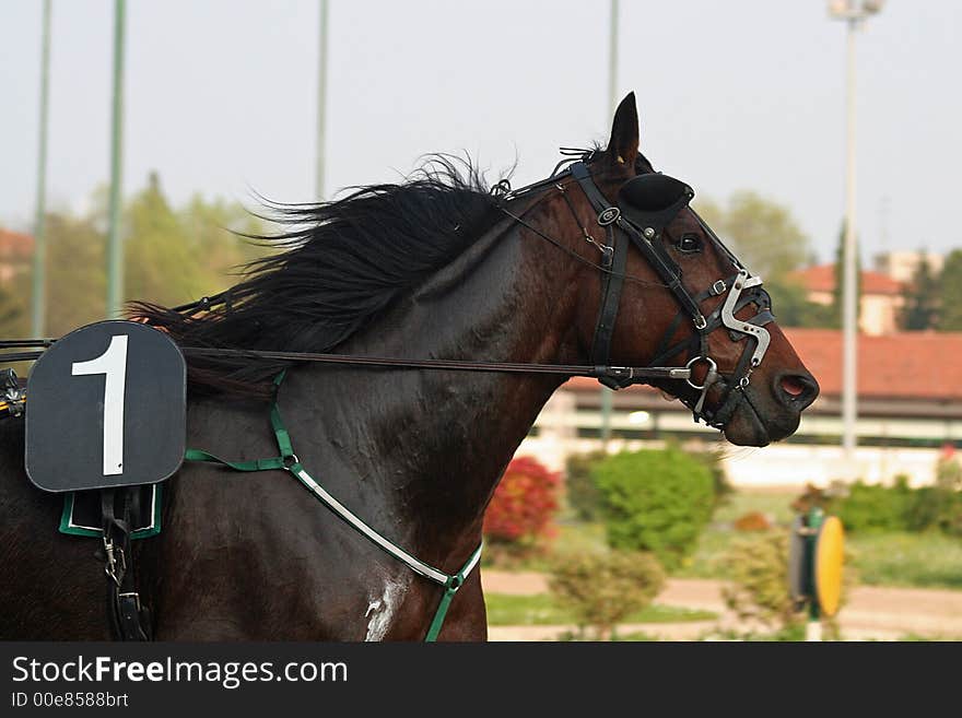 Some beautiful photos of a grand prix in Italy. Some beautiful photos of a grand prix in Italy