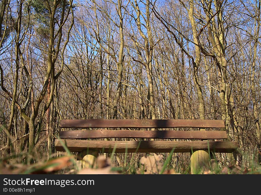 Bench in nature